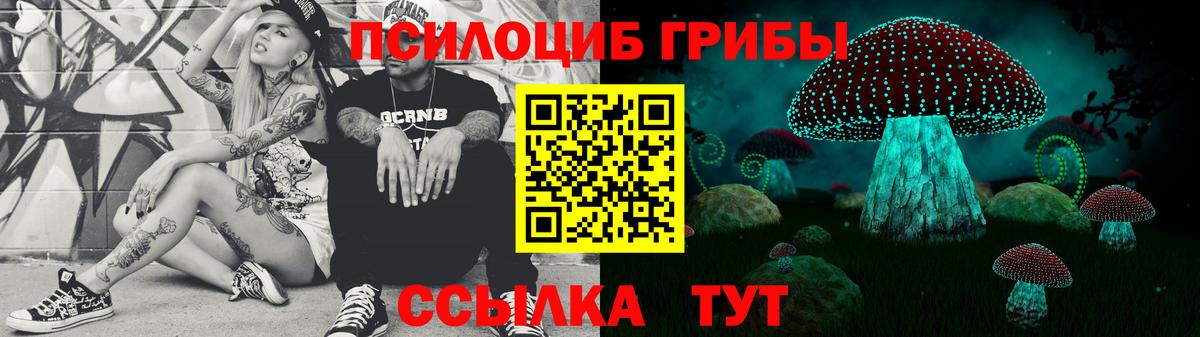 Псилоцибиновые грибы Cubensis Мариинск