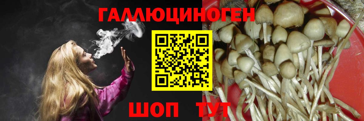 Псилоцибиновые грибы Magic Shrooms  Галлюциногенные грибы мухоморы  Мариинск  Вход с VPN 